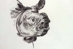 1_Dessin-2023-2024059