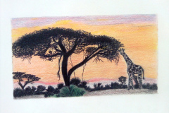 1_Dessin-2023-2024060