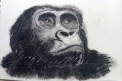 1_Dessin-2023-2024062