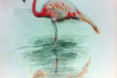 1_Dessin-2023-2024064