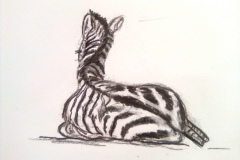 1_Dessin-2023-2024065