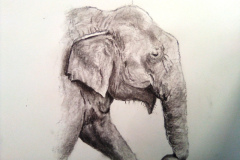 1_Dessin-2023-2024068