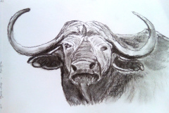 1_Dessin-2023-2024069