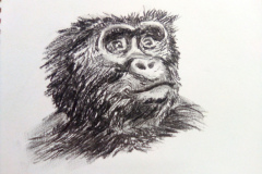 1_Dessin-2023-2024070