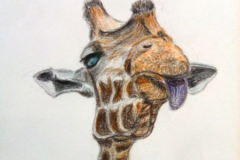 1_Dessin-2023-2024071