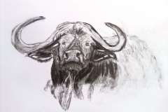 1_Dessin-2023-2024072