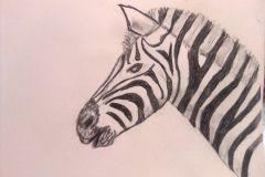 1_Dessin-2023-2024073