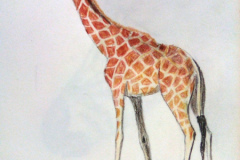 1_Dessin-2023-2024074