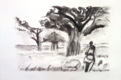 1_Dessin-2023-2024076