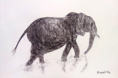 1_Dessin-2023-2024077