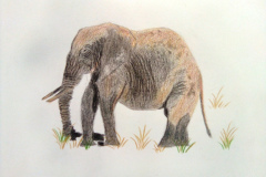 1_Dessin-2023-2024083