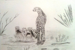 1_Dessin-2023-2024087