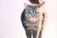 1_Dessin-2023-202409