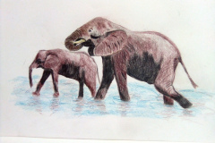 1_Dessin-2023-2024091