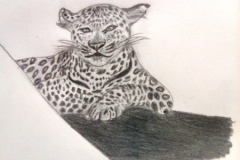 1_Dessin-2023-2024095