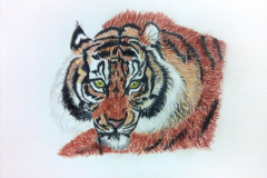 1_Dessin-2023-2024097