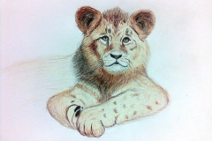 1_Dessin-2023-2024099