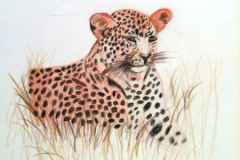 1_Dessin-2023-2024101