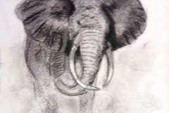 1_Dessin-2023-2024102