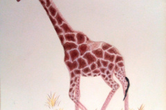 1_Dessin-2023-2024104