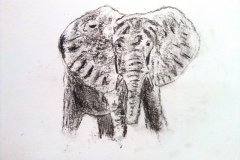 1_Dessin-2023-2024105