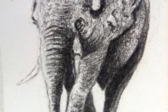 1_Dessin-2023-2024109