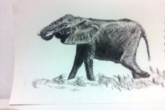 1_Dessin-2023-2024110