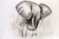 1_Dessin-2023-2024111