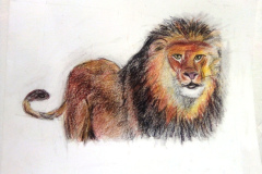 1_Dessin-2023-2024116