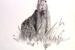 1_Dessin-2023-202413