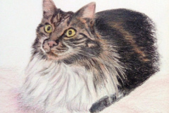 1_Dessin-2023-202414