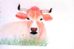 1_Dessin-2023-202416