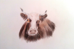 1_Dessin-2023-202417