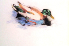 1_Dessin-2023-202418