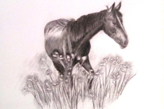 1_Dessin-2023-202419