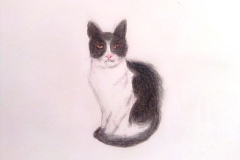 1_Dessin-2023-202420