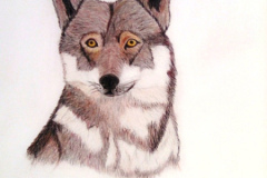 1_Dessin-2023-202422