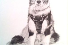 1_Dessin-2023-202423