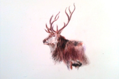 1_Dessin-2023-202424