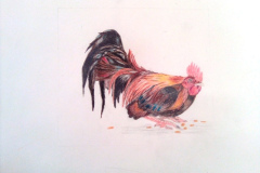 1_Dessin-2023-202425