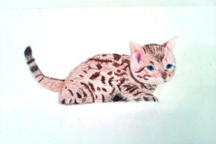 1_Dessin-2023-202426