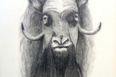 1_Dessin-2023-202427