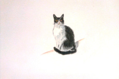 1_Dessin-2023-202429