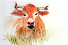 1_Dessin-2023-202430