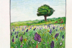 1_Dessin-2023-202432