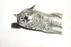 1_Dessin-2023-202433