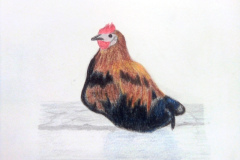 1_Dessin-2023-202434