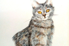 1_Dessin-2023-202436