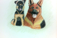 1_Dessin-2023-202440