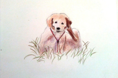 1_Dessin-2023-202444